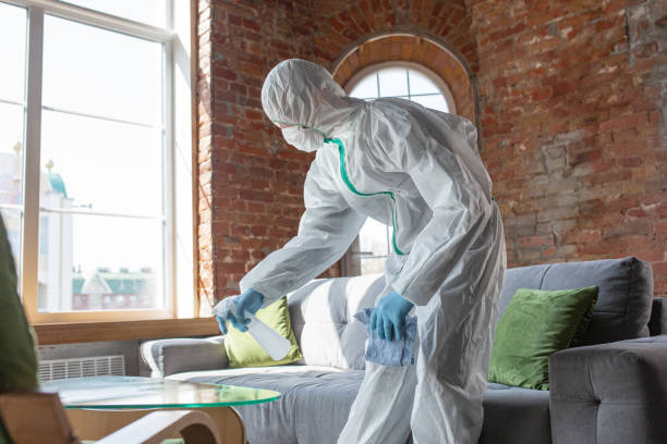 Blennerhassett, WV Mold Removal Company